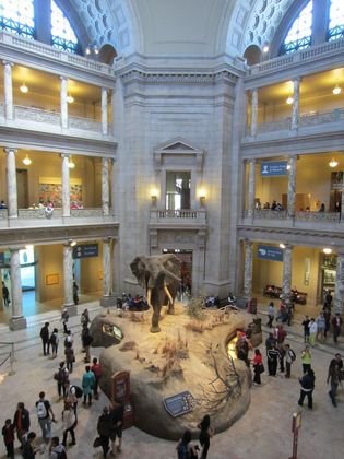 Smithsonian Natural History Museum